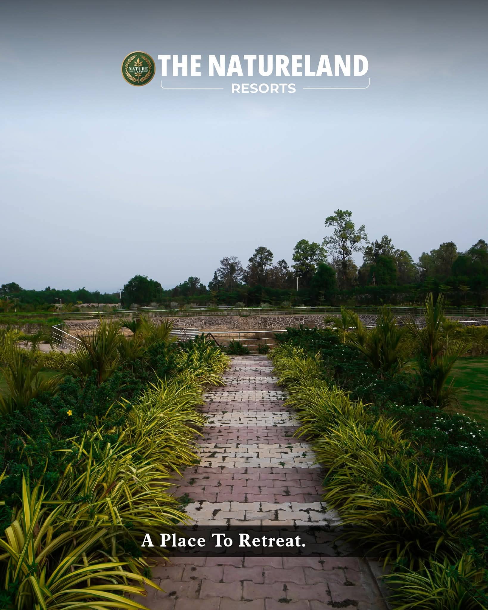 Peaceful Garden Paths